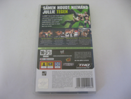 Smackdown vs Raw 2009 (PSP)