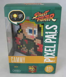 Pixel Pals - Street Fighter - Cammy Light Up Figure (New)