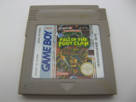 Teenage Mutant Hero Turtles Fall of the Foot Clan (NOE)
