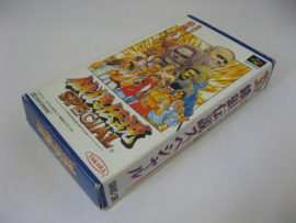 Fatal Fury Special (SFC, CIB)