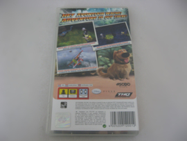 Up (PSP)