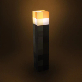 Minecraft: Torch Light (New)