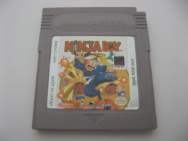 Ninja Boy (USA)