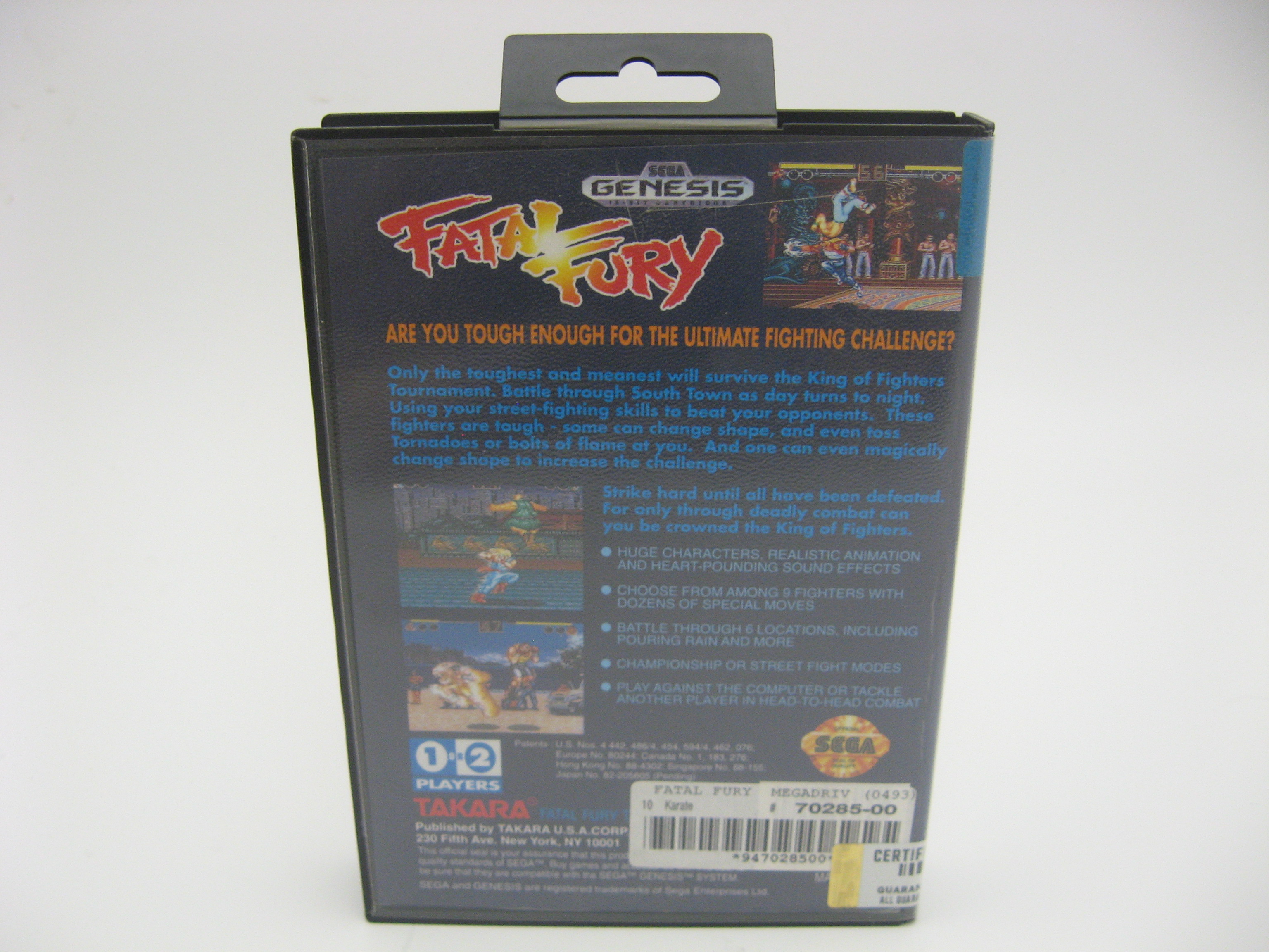 Fatal Fury (USA)