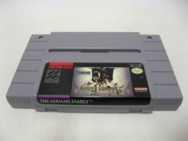Addams Family (NTSC)