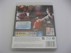 Ninja Gaiden 3 (PS3)