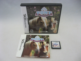 Pony Friends (USA)