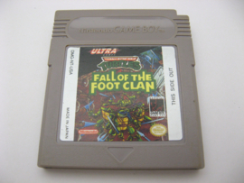 Teenage Mutant Hero Turtles Fall of the Foot Clan (USA)