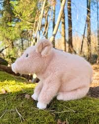 Varken Sweet Oink