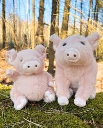 Varken Sweet Oink