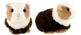 Cavia Baby Piggy