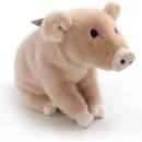 Varken Sweet Oink