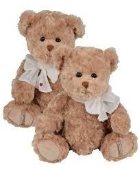 Zachte teddybeer Ted