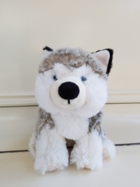 Husky The Blue