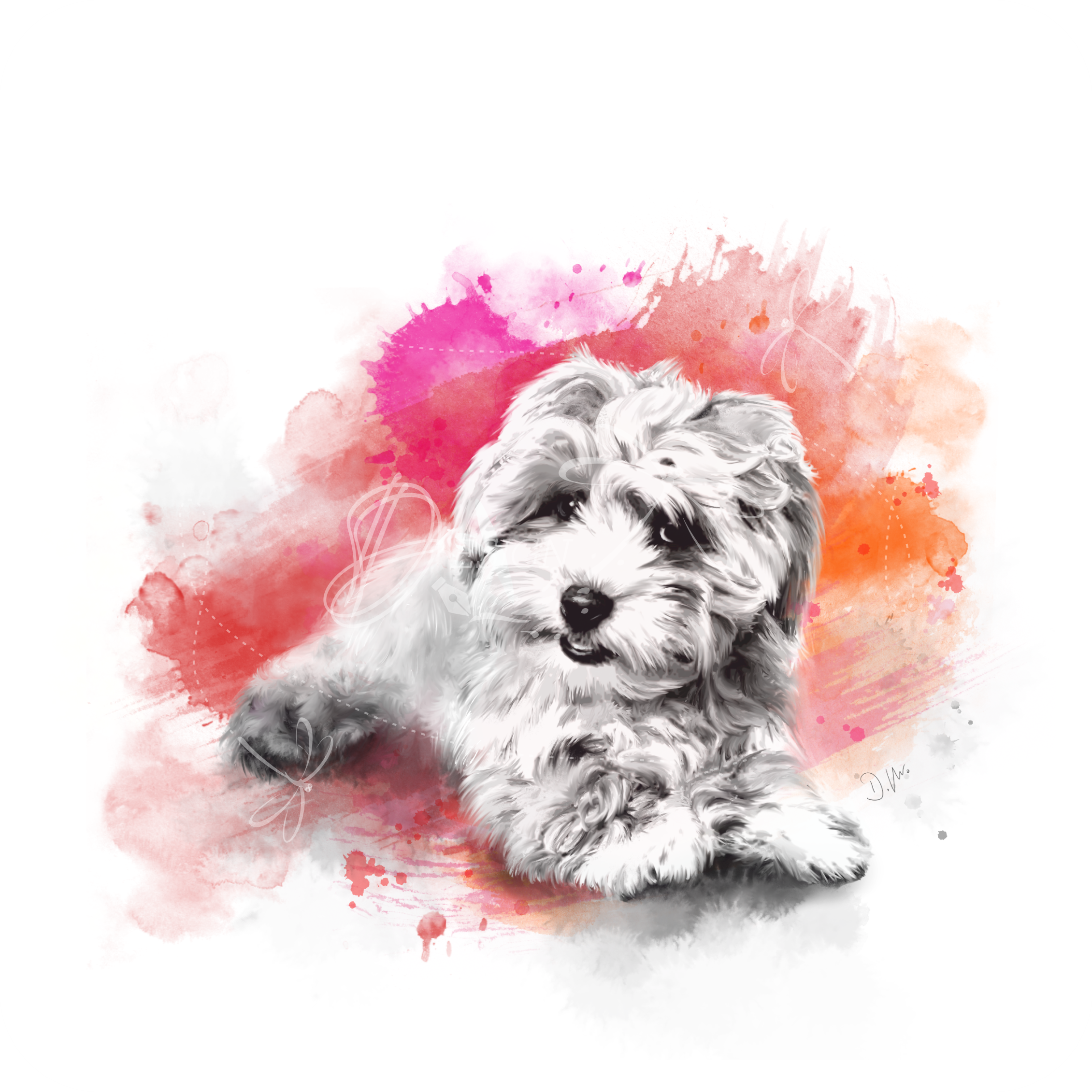 Maltipoo love in brush strokes