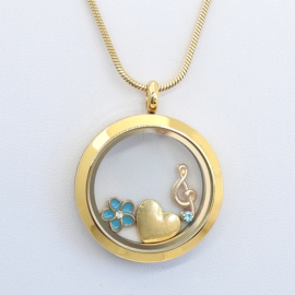 rond  locket  Memorie medaillon inclusief ketting, stainless steel Gold