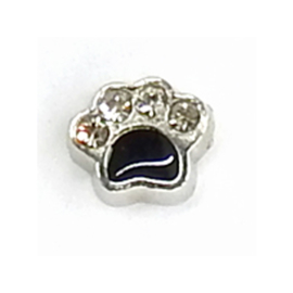 pootje met strass, charm voor in het medaillon
