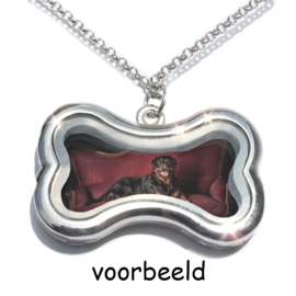kluifje locket memory medaillon met ketting