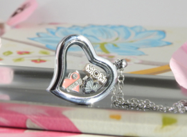 hartvormig locket memory medaillon met steentjes en ketting