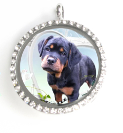 locket foto medaillon met Steentjes , inclusief halsketting