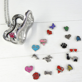 kluifje locket memory medaillon met ketting
