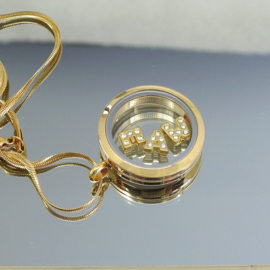 rond  locket  Memorie medaillon inclusief ketting, stainless steel Gold