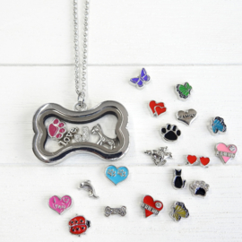 kluifje locket memory medaillon met ketting