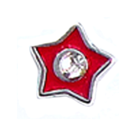 charm ster, charm voor in het medaillon