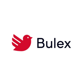 Boilerstoel Bulex voor WE75ME/100ME/150ME