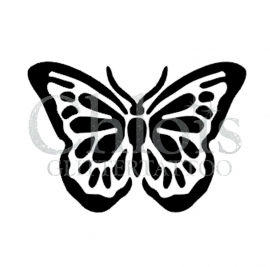 Butterfly Bold