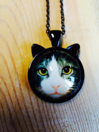 Ketting kat zwart wit