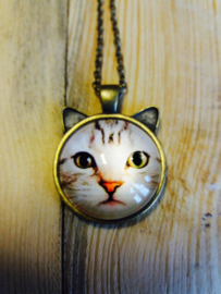 Ketting kat licht