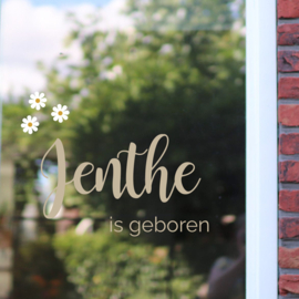 Geboorte raamsticker - Jenthe