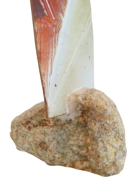 Seilbat