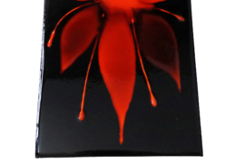 Wandtableau 'Sterbloem'