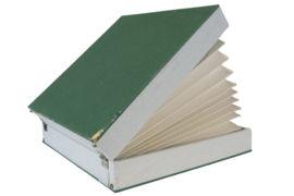 Platenkoffer groen (20 platen)