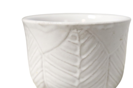 Witte kleine bloempot botanic