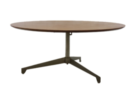 Eettafel / salontafel "Kamerik"