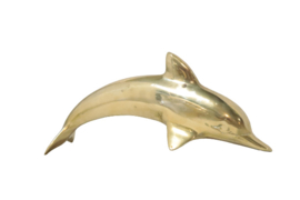 Messing dolfijn