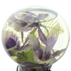 Bloemenaquarium lamp
