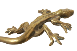 Messing salamander