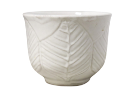 Witte kleine bloempot botanic