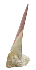 Seilbat