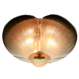 Plafonnière
