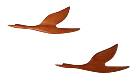 Set van 2 houten vogels