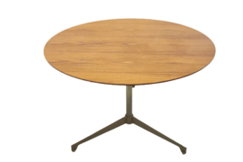 Eettafel / salontafel "Kamerik"