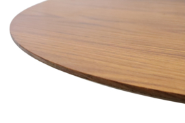 Eettafel / salontafel "Kamerik"