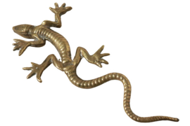 Messing salamander