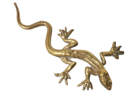 Messing salamander