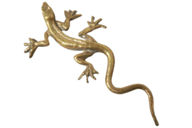 Messing salamander